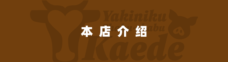 本店介绍